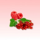 Raspberry - Red Currant